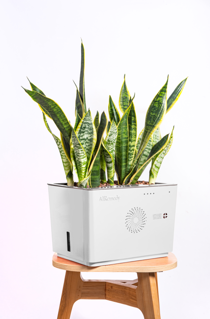 airemedy gaia