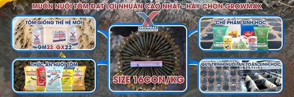 cong nghe san xuat giong tom rao tom dat metapenaeus ensis vn0500 101 quy mo nho